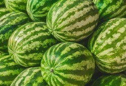 吃瓜是什么意思 吃瓜爆料短剧吃瓜爆料大赛每日聚集地,吃瓜爆料短剧大赛，每日热点聚集地